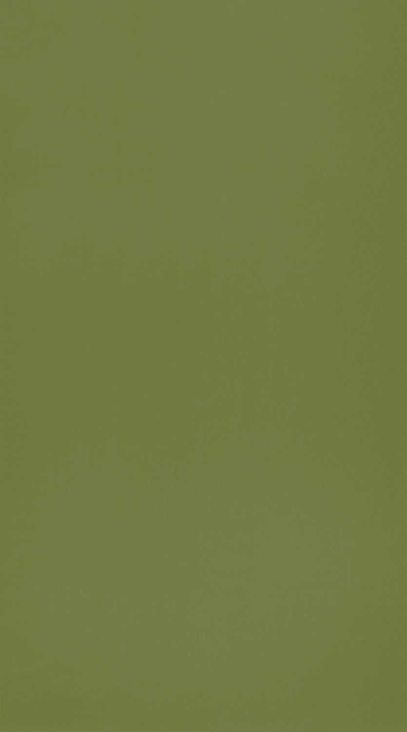 Carta da Parati Tinta Unita Verde Rose & Nino Casadeco Wallpaper