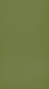 Carta da Parati Tinta Unita Verde Rose & Nino Casadeco Wallpaper