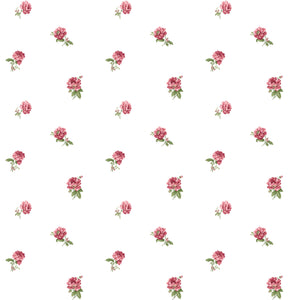 Carta da Parati Blooming Garden 2022 Cristiana Masi Wallpaper Collection cod. 84031