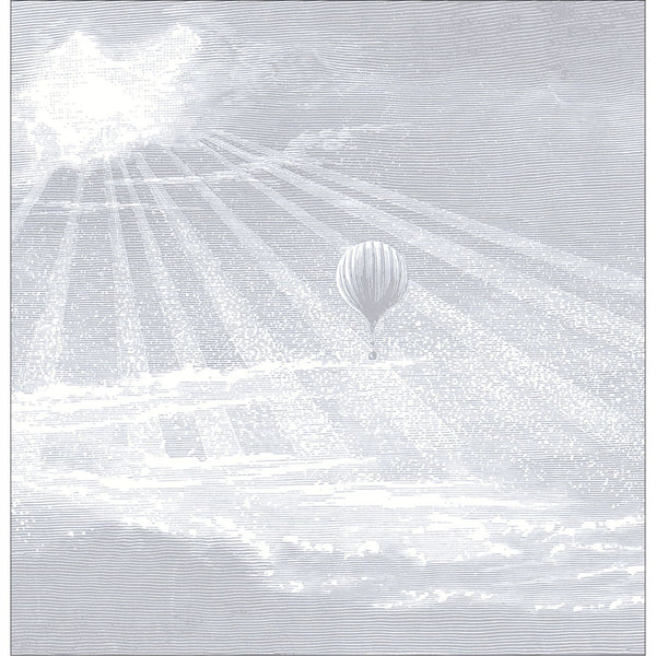 Pannello Murale Voyage Onirique Casadeco Wallpaper 300cm x 310cm cod. 87619209