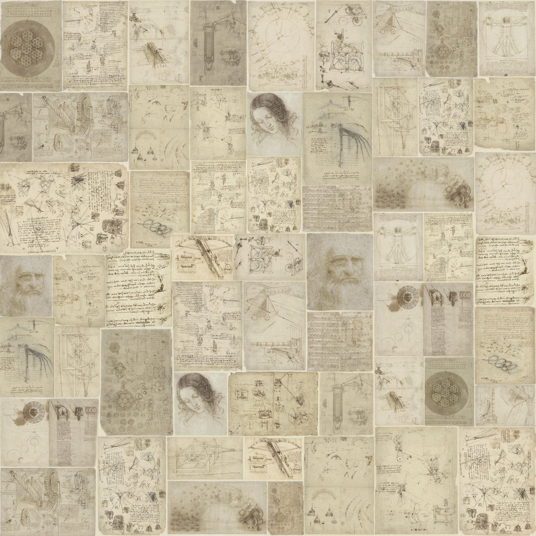 Carta da Parati al MQ Atlanticus Rimura Italian Design