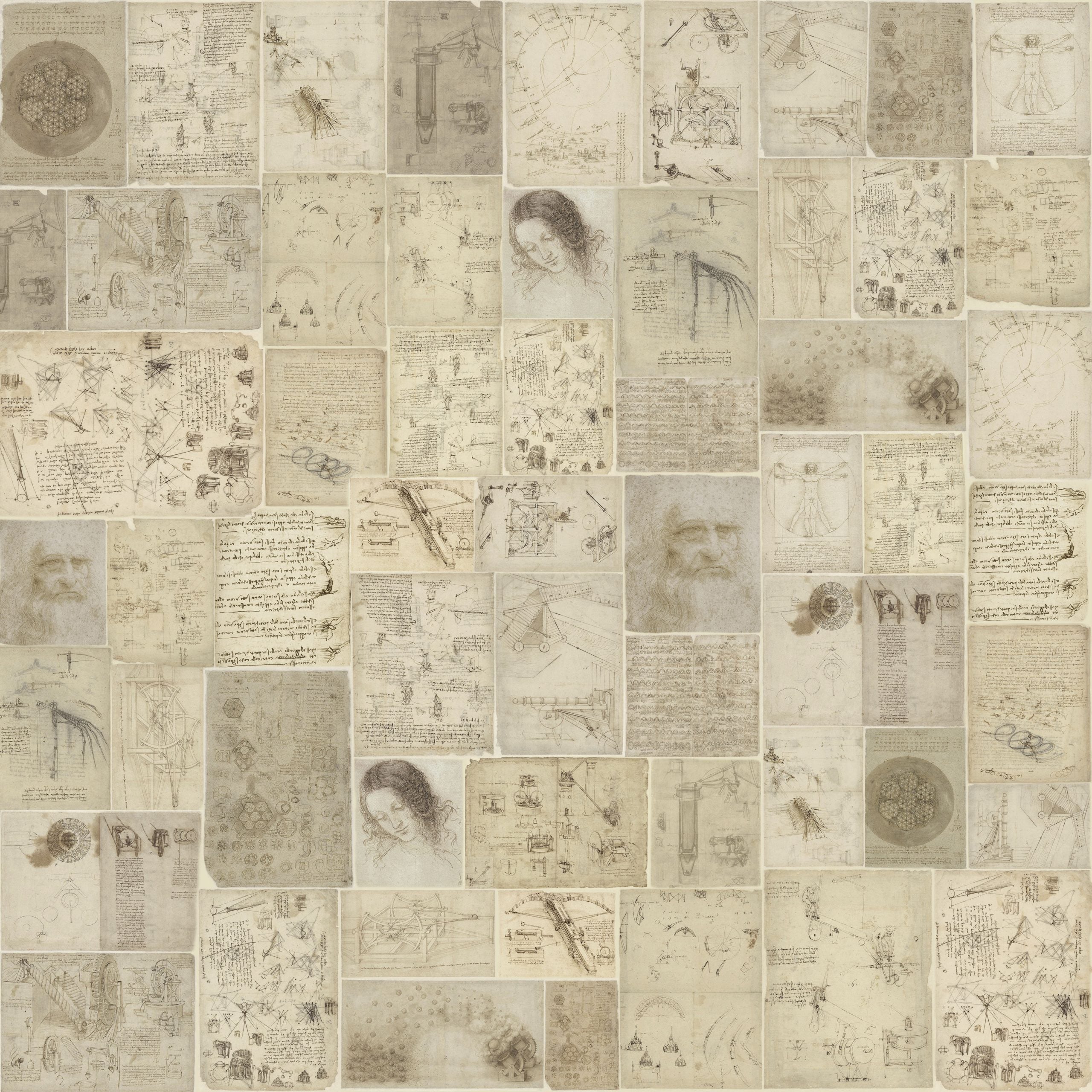 Carta da Parati al MQ Atlanticus Rimura Italian Design