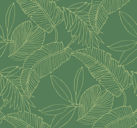 Carta da Parati Pure Elements JV Exclusive Parati 20214