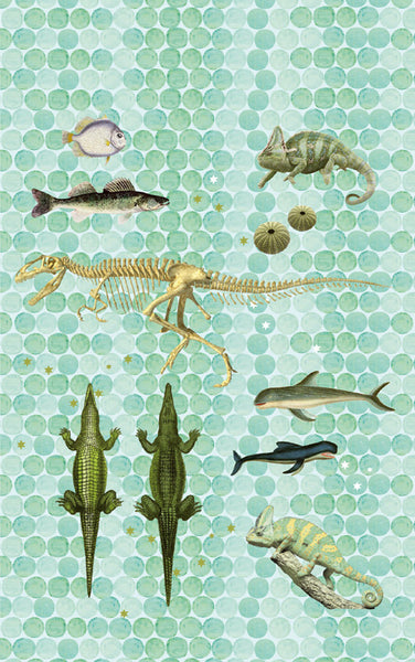 Pannello di Carta da Parati Fiaba JV Exclusive Wallpaper Collection cod. 32081