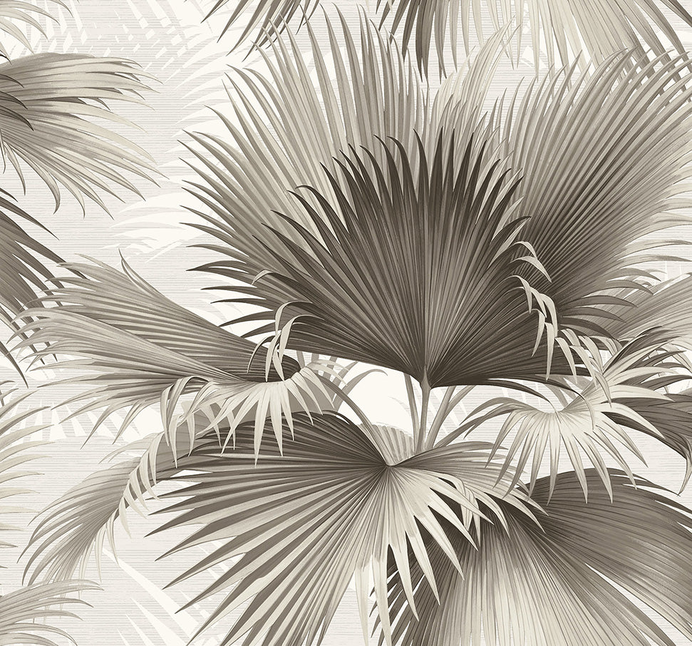 Carta da Parati Newport Summer Palm JV Exclusive Parati cod. 40100