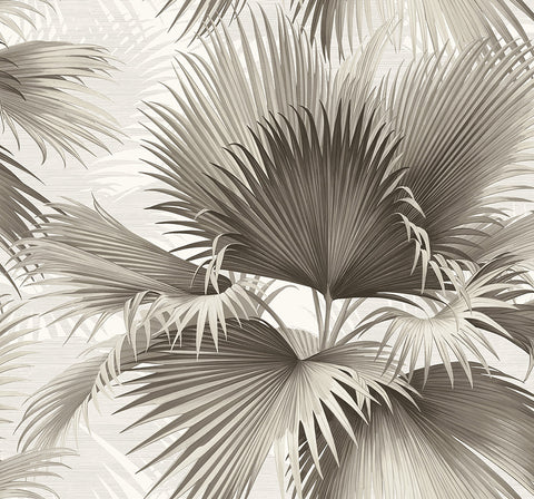 Carta da Parati Newport Summer Palm JV Exclusive Parati cod. 40100