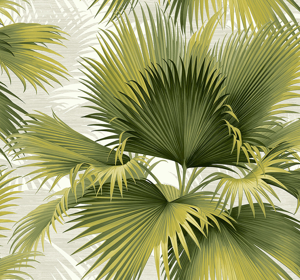 Carta da Parati Newport Summer Palm JV Exclusive Parati cod. 40114