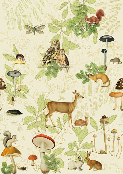 Pannello di Carta da Parati Fiaba JV Exclusive Wallpaper Collection cod. 57657