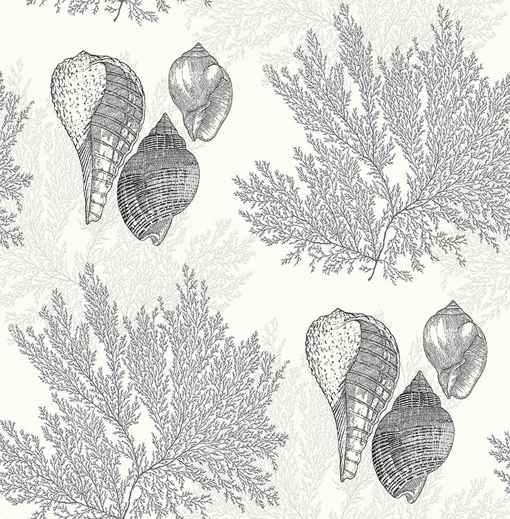Carta da Parati Newport Nauset JV Exclusive Parati cod. 81200