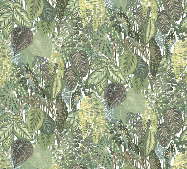 Pannello di Carta da Parati Greenhouse JV Exclusive Parati 8332