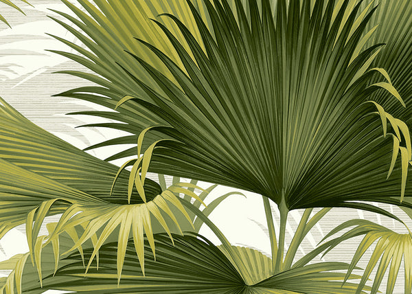 Carta da Parati Newport Summer Palm JV Exclusive Parati cod. 40114