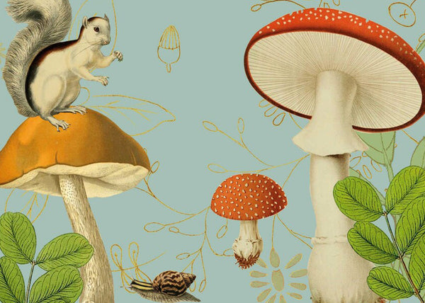 Pannello di Carta da Parati Fiaba JV Exclusive Wallpaper Collection cod. 57640