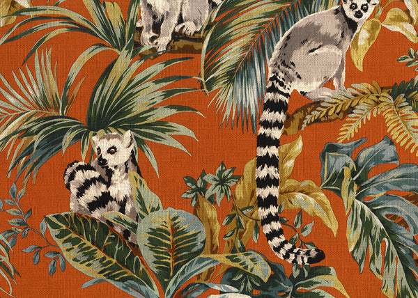 Carta da Parati Lemuri Lemuria JV Italian Design Parati cod. 6503