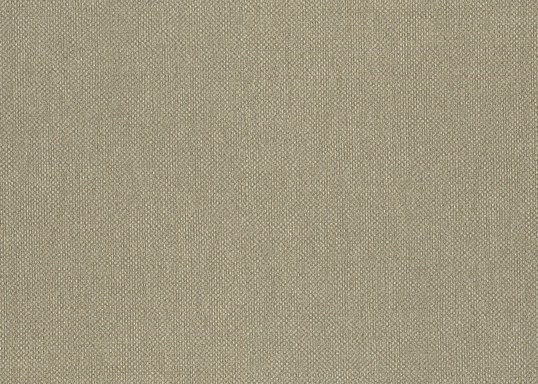 Carta da Parati Baobab Lemuria JV Italian Design Parati cod. 6552
