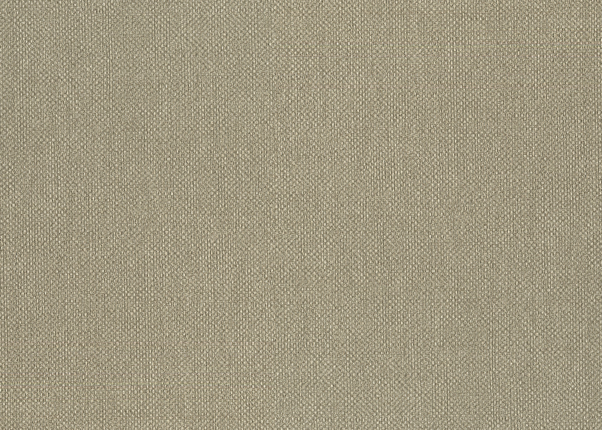 Carta da Parati Baobab Lemuria JV Italian Design Parati cod. 6552