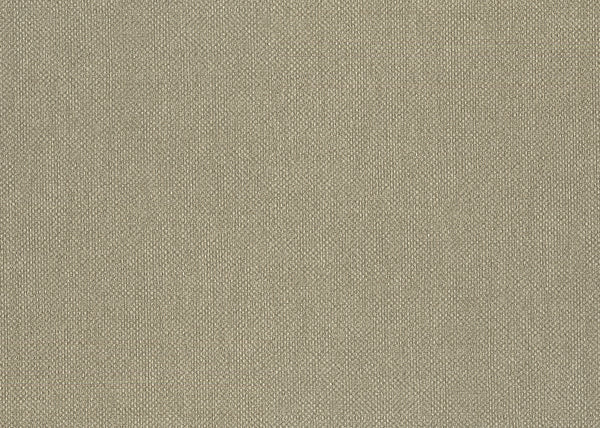 Carta da Parati Baobab Lemuria JV Italian Design Parati cod. 6552