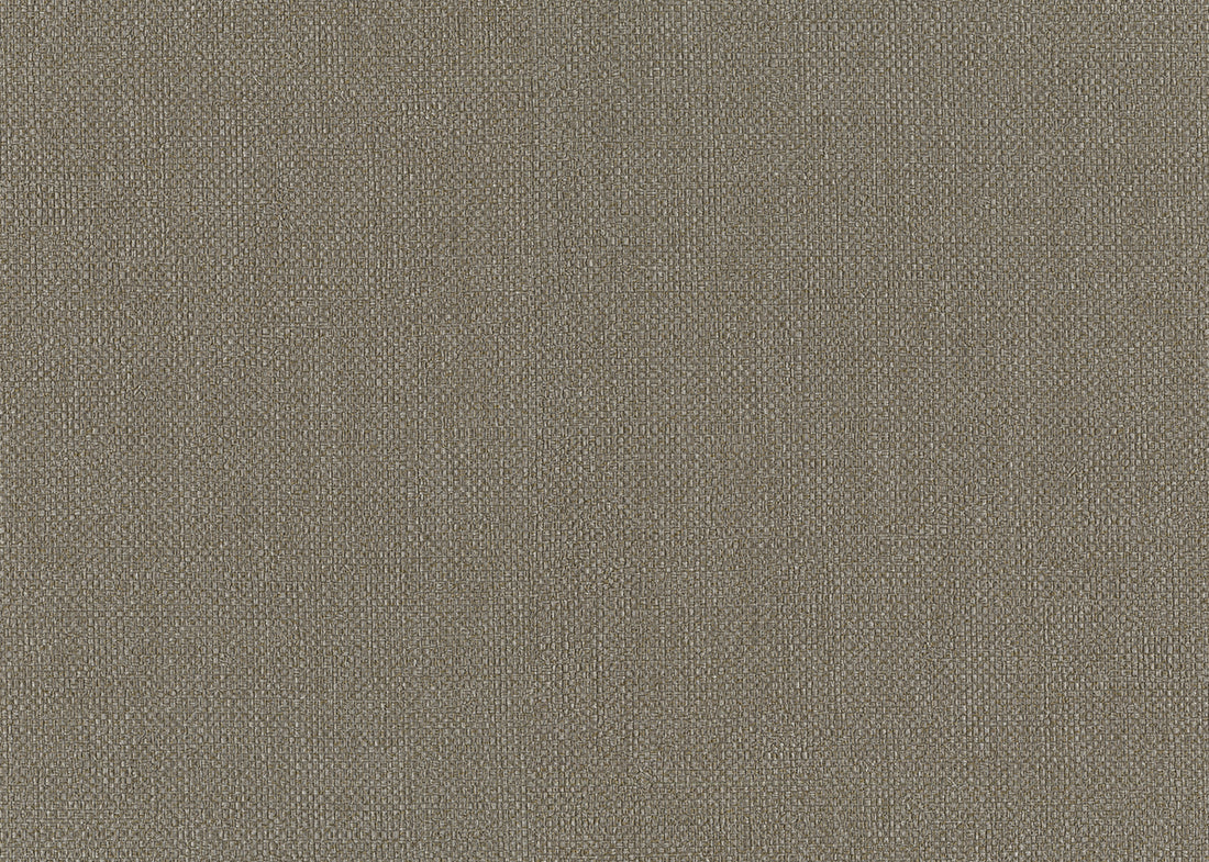 Carta da Parati Baobab Lemuria JV Italian Design Parati cod. 6553