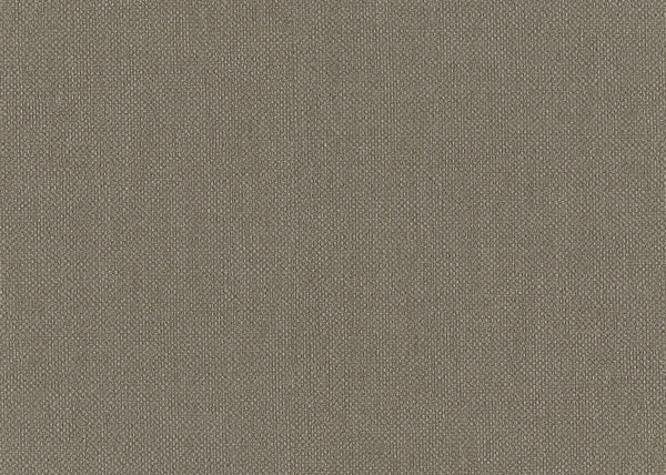 Carta da Parati Baobab Lemuria JV Italian Design Parati cod. 6553