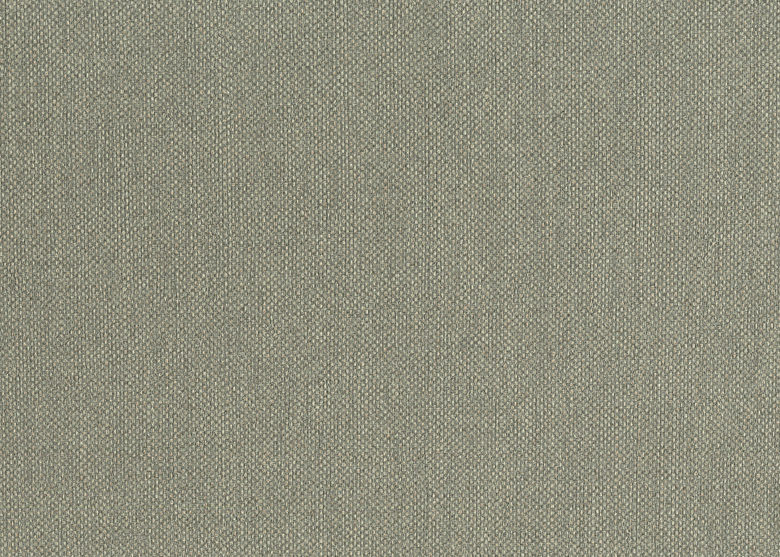Carta da Parati Baobab Lemuria JV Italian Design Parati cod. 6554