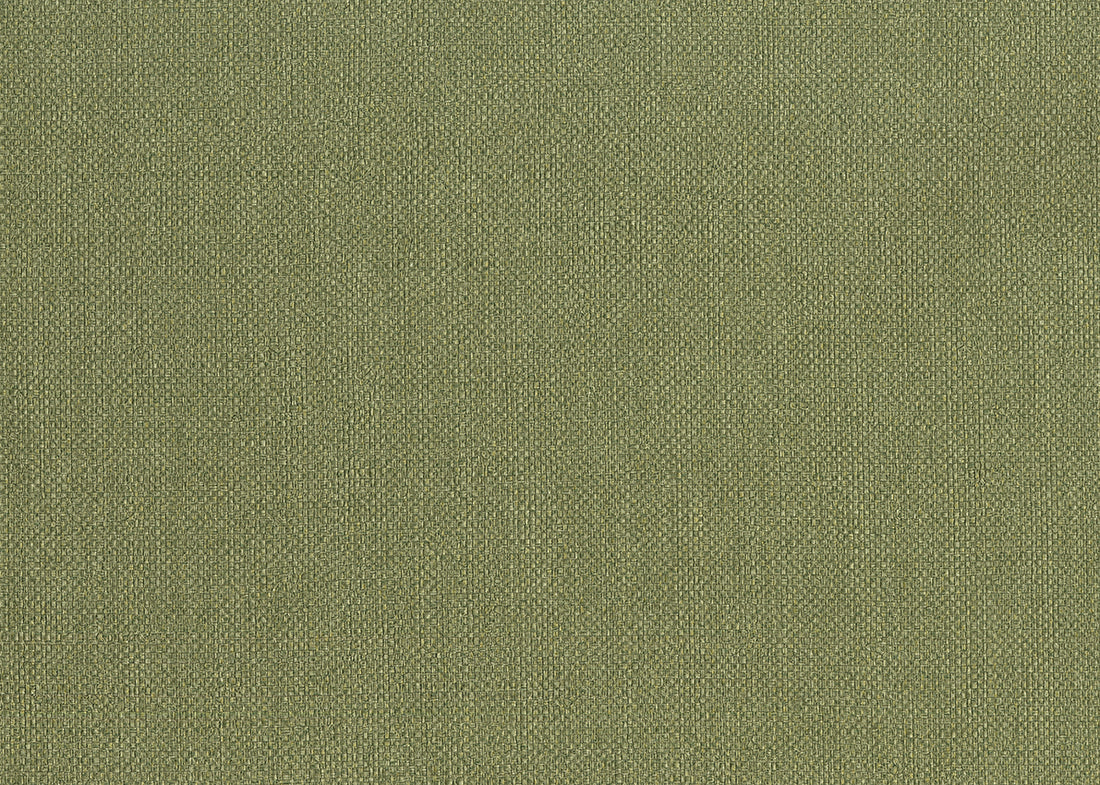 Carta da Parati Baobab Lemuria JV Italian Design Parati cod. 6555