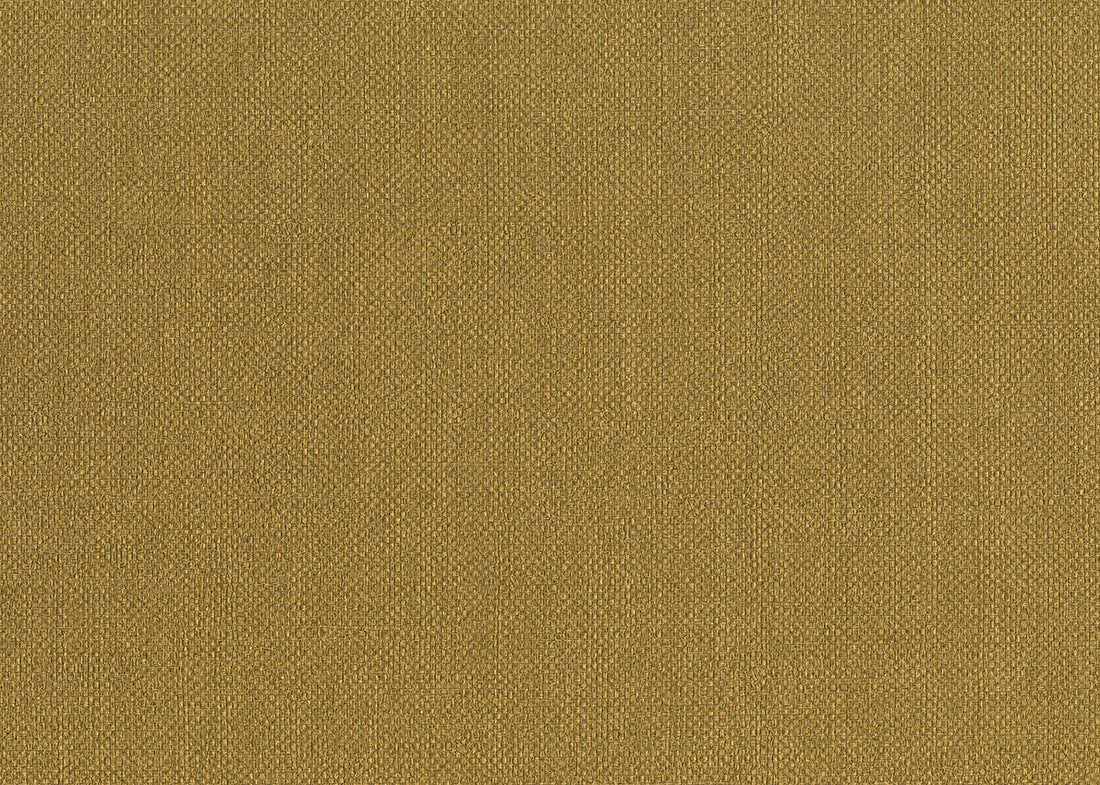 Carta da Parati Baobab Lemuria JV Italian Design Parati cod. 6556