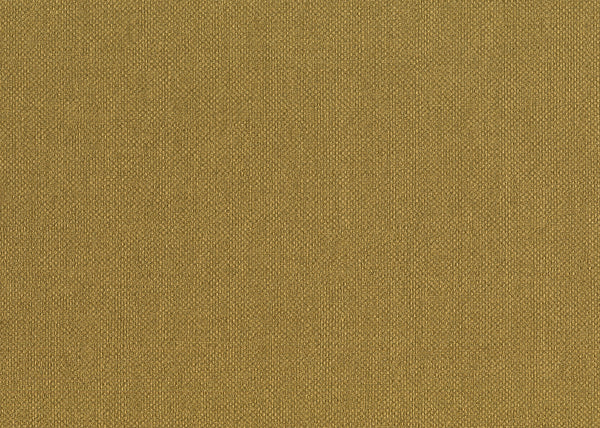 Carta da Parati Baobab Lemuria JV Italian Design Parati cod. 6556