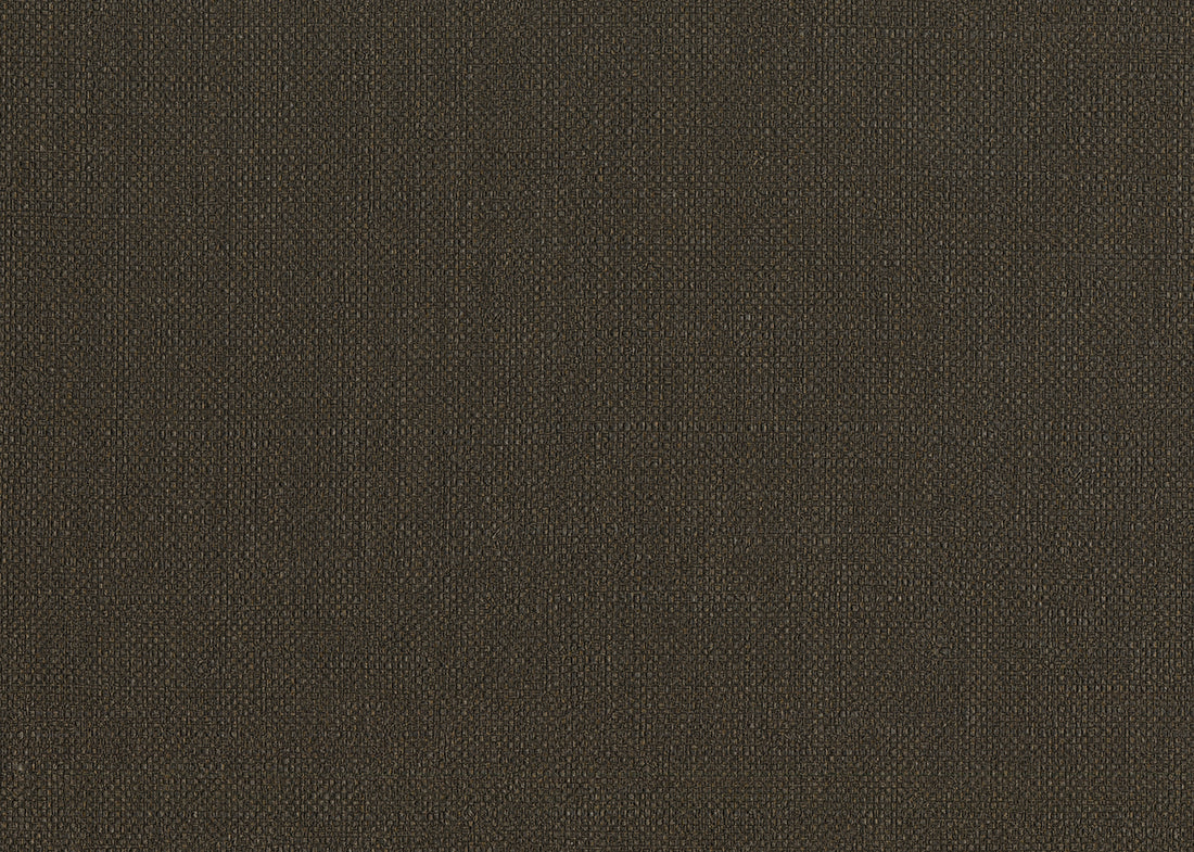 Carta da Parati Baobab Lemuria JV Italian Design Parati cod. 6562