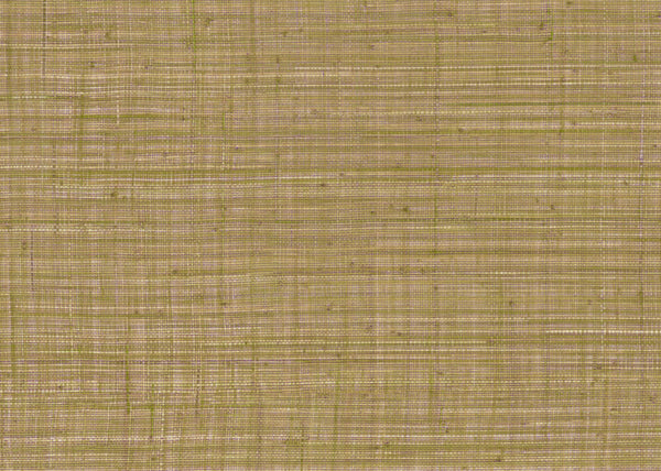 Carta da Parati Tierra JV Italian Design Parati cod. 6661