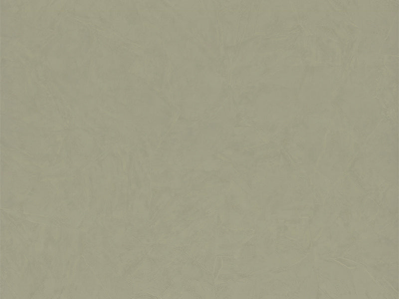 Carta da Parati Trussardi Wall Decor VI  Z46053  Zambaiti Parati