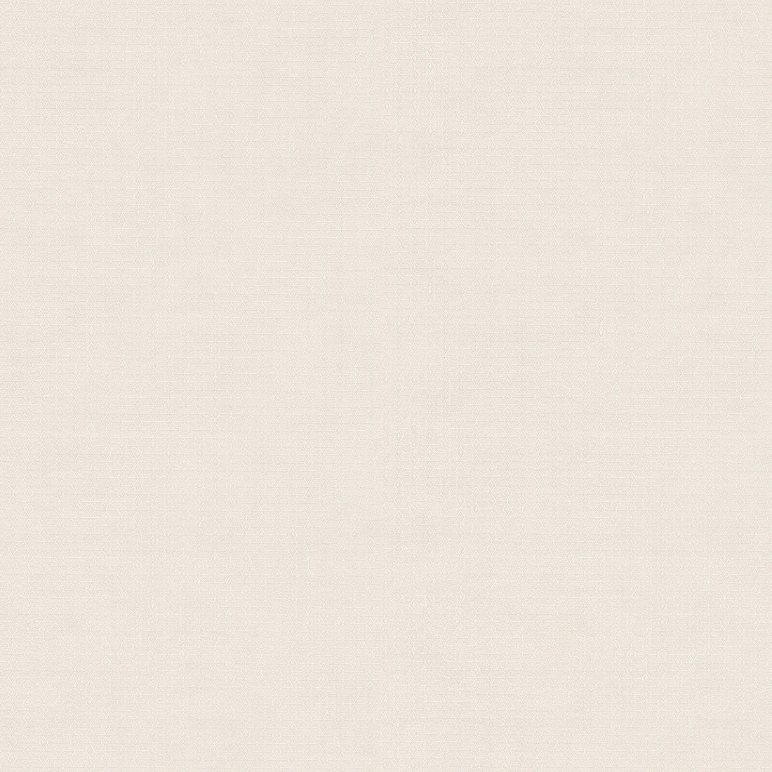 Carta da Parati Fuksas Zambaiti Contract Z54511