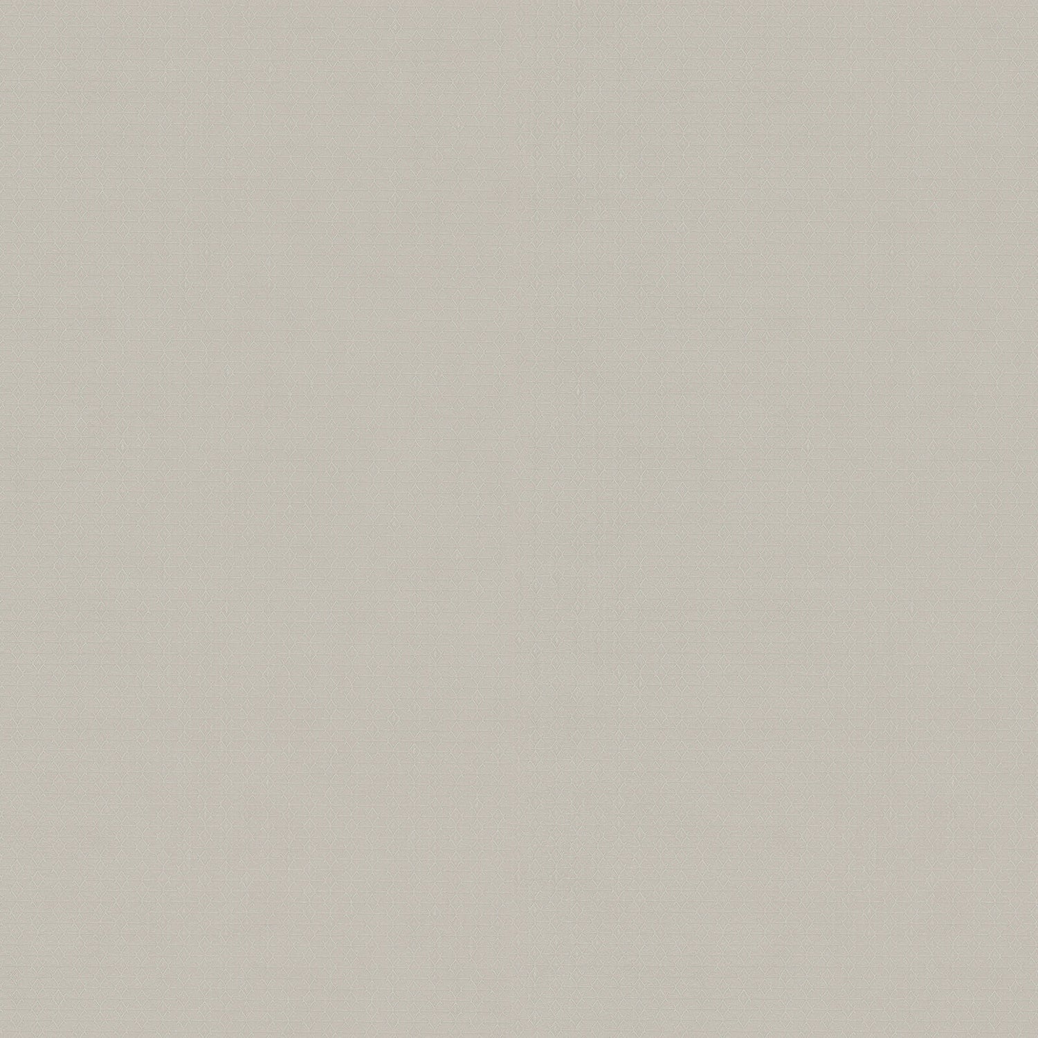 Carta da Parati Fuksas Zambaiti Contract Z54512