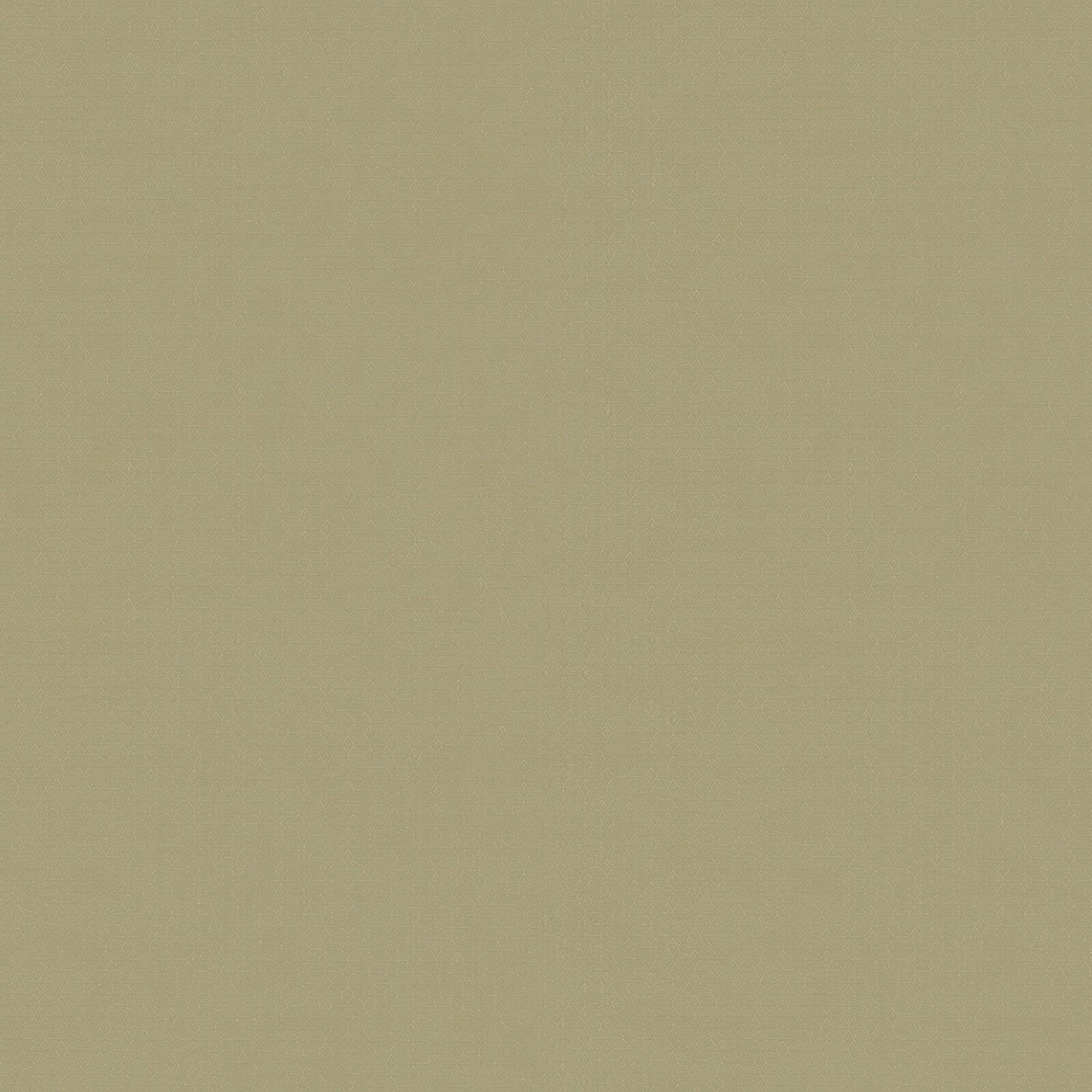 Carta da Parati Fuksas Zambaiti Contract Z54513