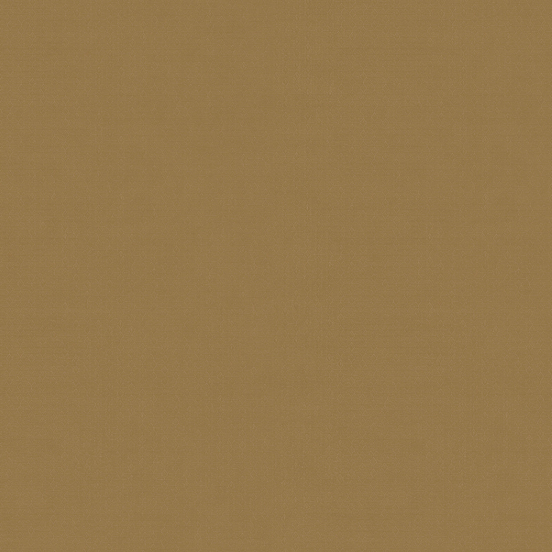 Carta da Parati Fuksas Zambaiti Contract Z54515