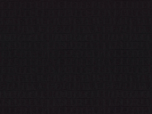Carta da Parati Philipp Plein Z80025 Zambaiti Parati