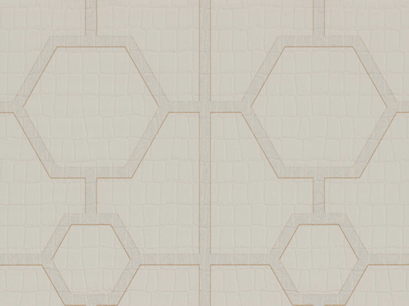 Carta da Parati Philipp Plein Z80028 Zambaiti Parati