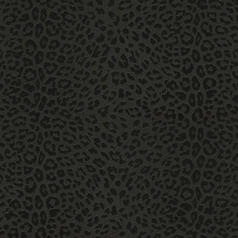 Carta da Parati Philipp Plein Z80042 Zambaiti Parati