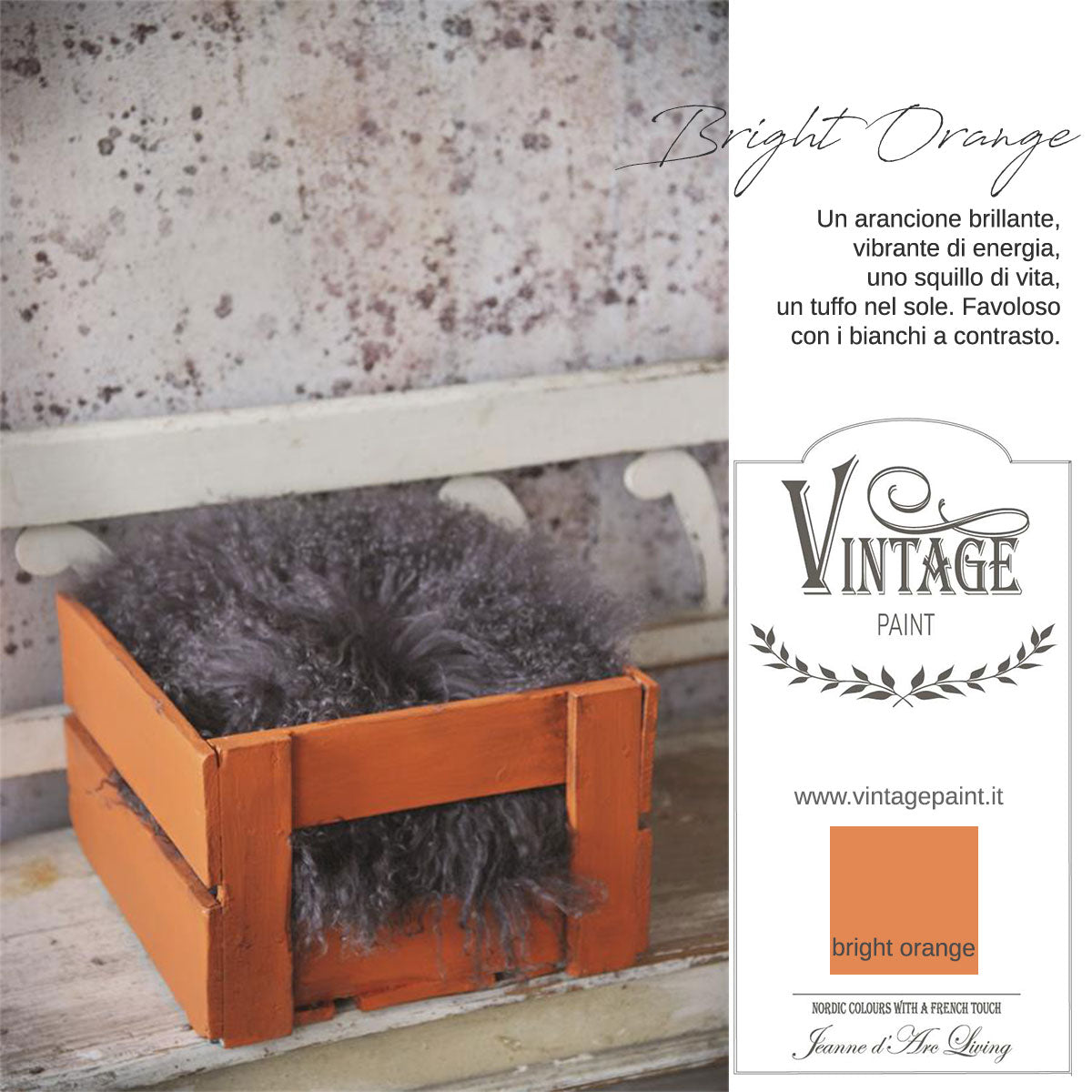 Chalk Paint - Bright Orange